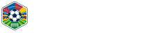 法国VS挪威直播